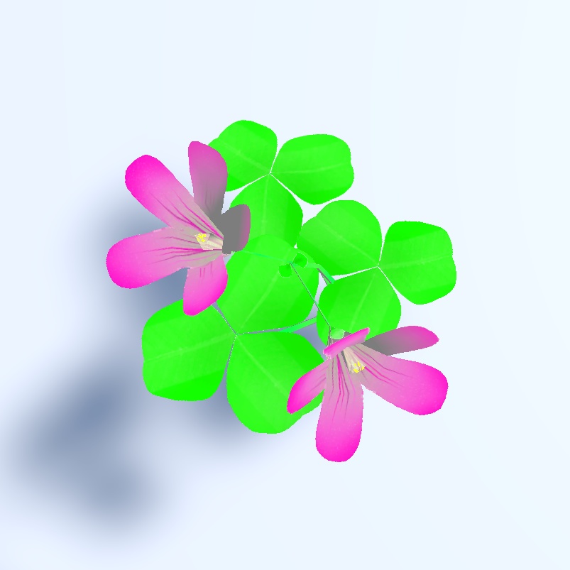 カタバミ 植物 3Dモデル (.fbx Unitypackage対応)