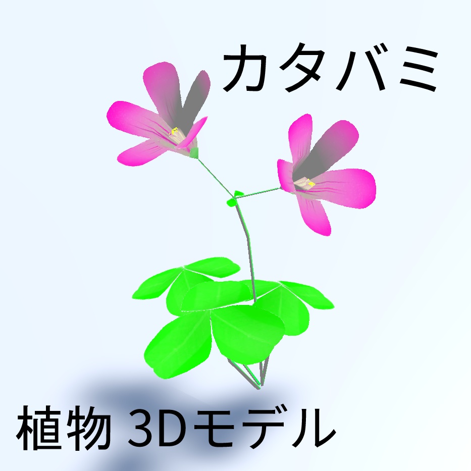 カタバミ 植物 3Dモデル (.fbx Unitypackage対応)