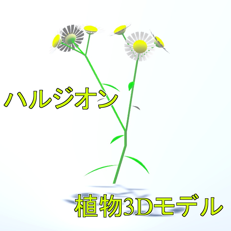 ハルジオン 植物3Dモデル( .fbx Unitypackage)