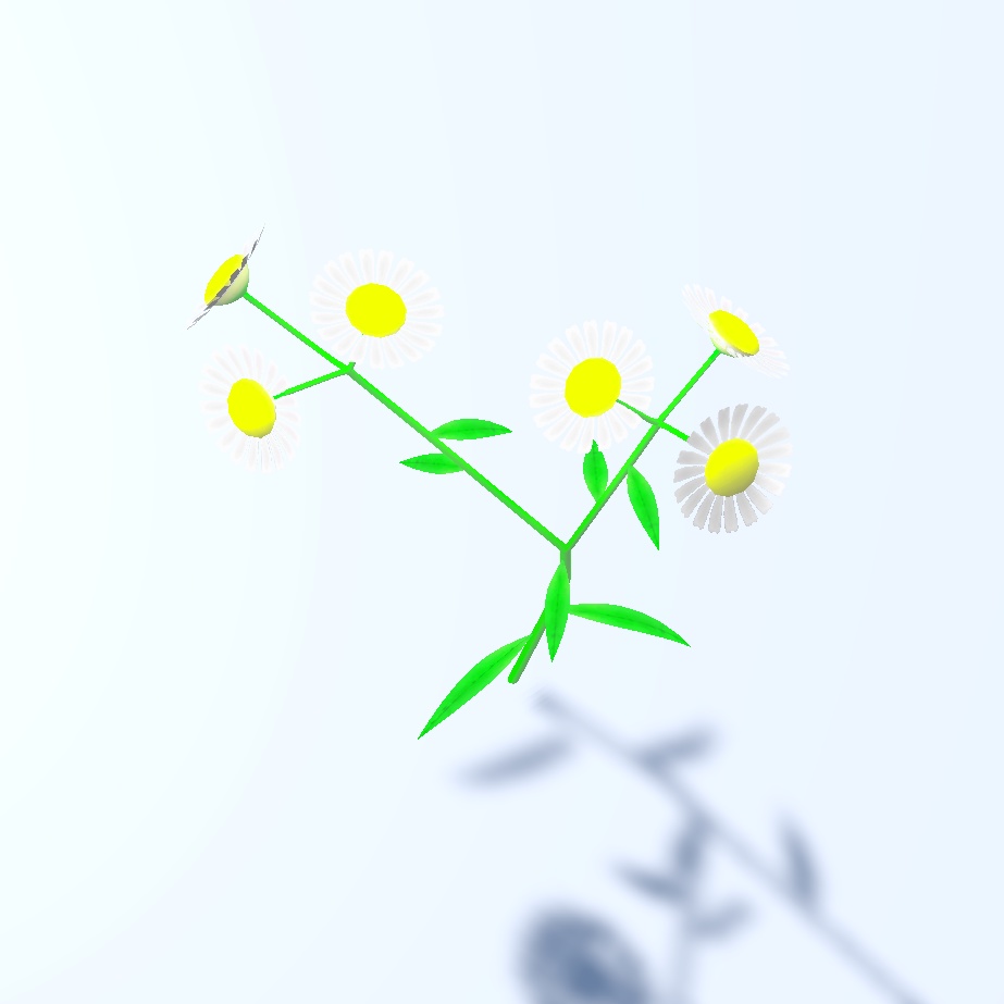 ハルジオン 植物3Dモデル( .fbx  Unitypackage)