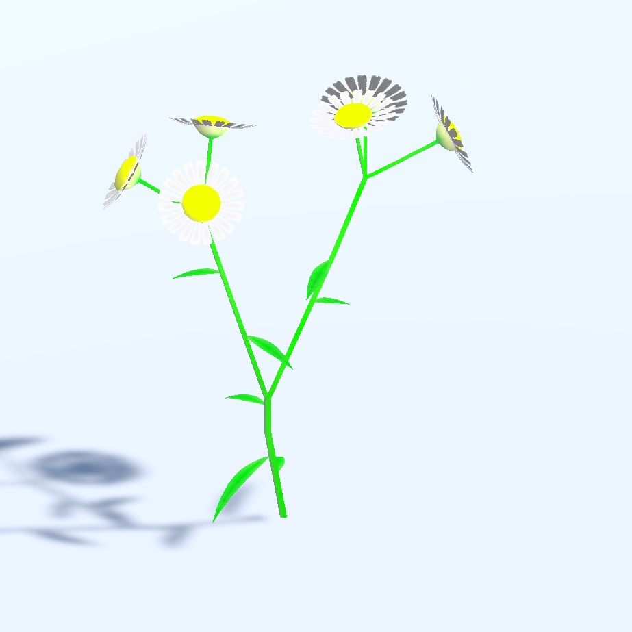 ハルジオン 植物3Dモデル( .fbx  Unitypackage)