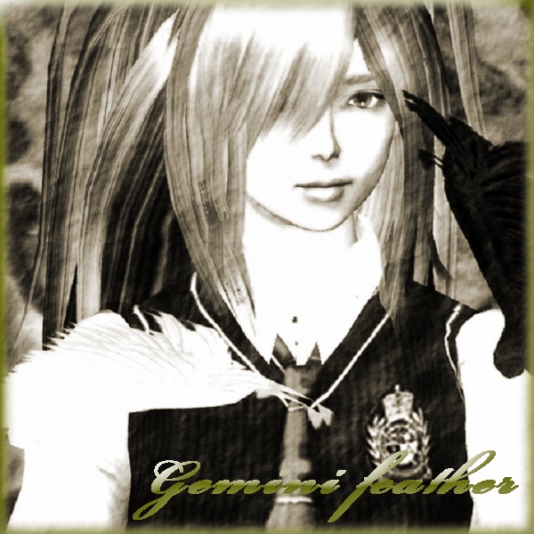 Gemini feather