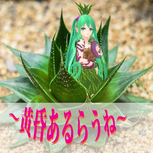 黄昏あるらうね