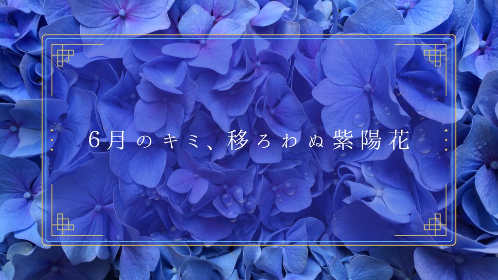 ６月のキミ、移ろわぬ紫陽花