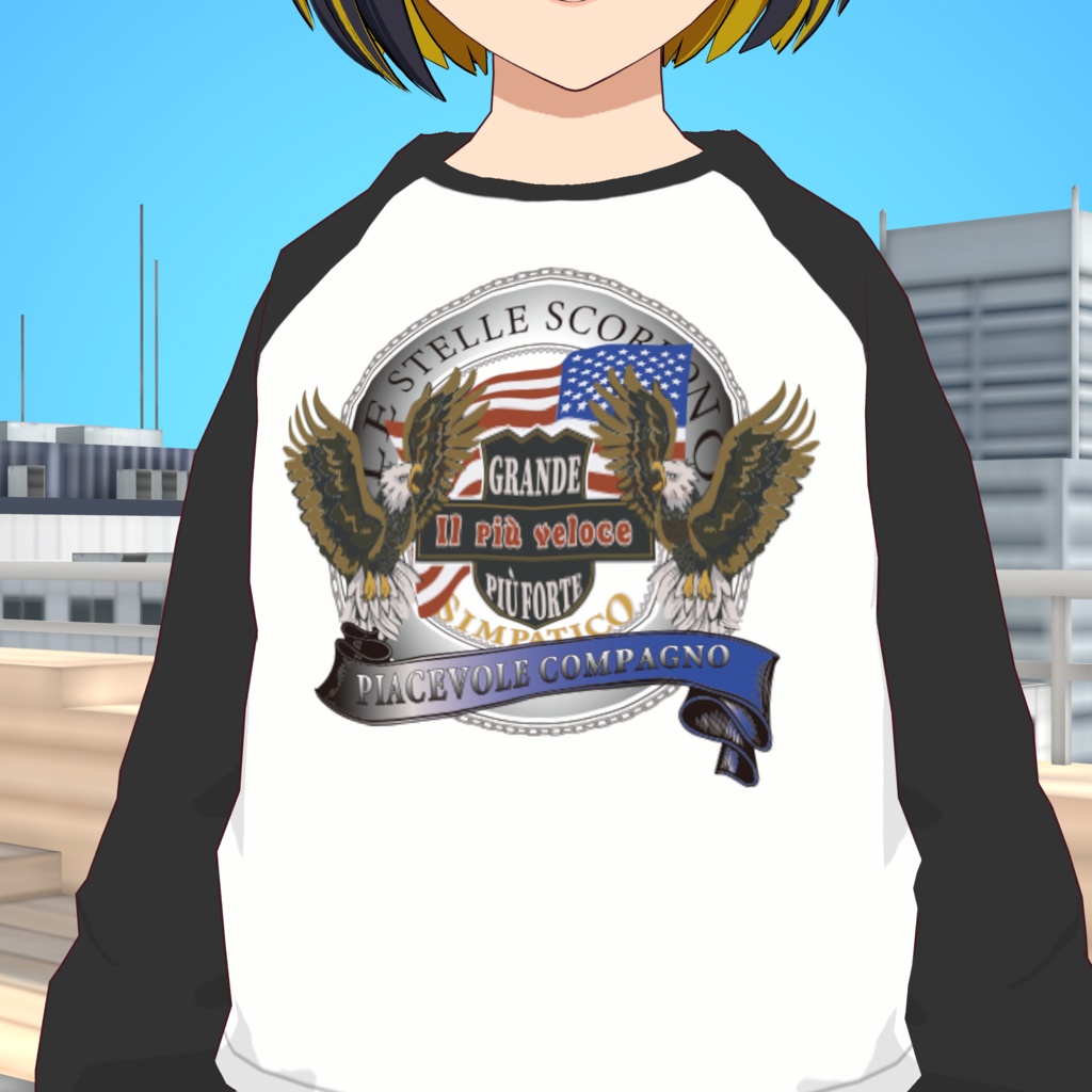 ラグランロンT/イーグル