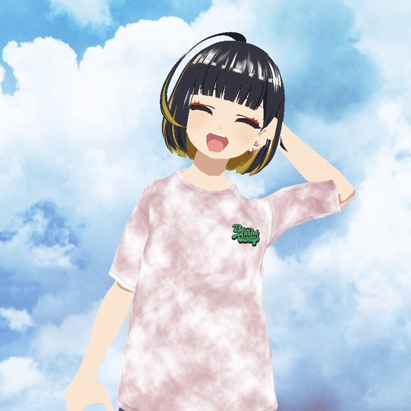 Tシャツ/タイダイ/LOOK