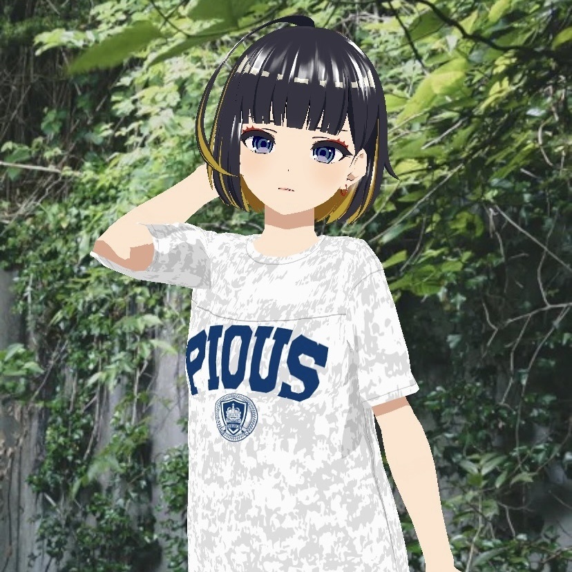 カレッジTシャツ/PIOUS