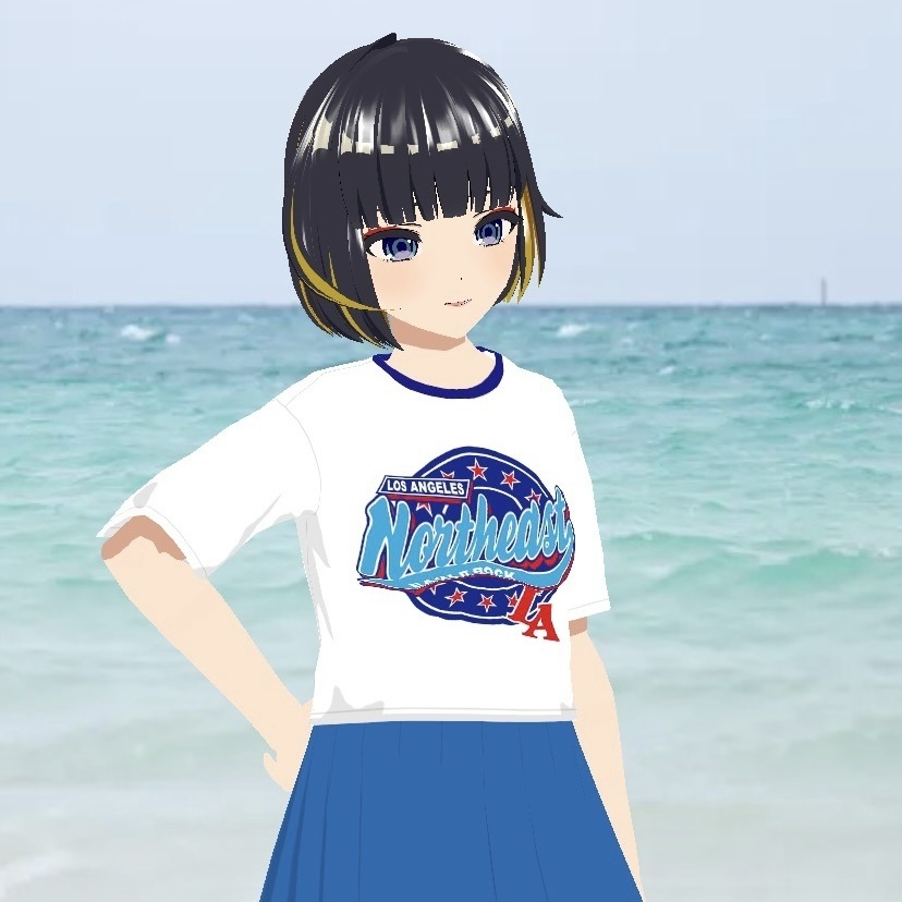 リンガーTシャツ/LOS ANGELS