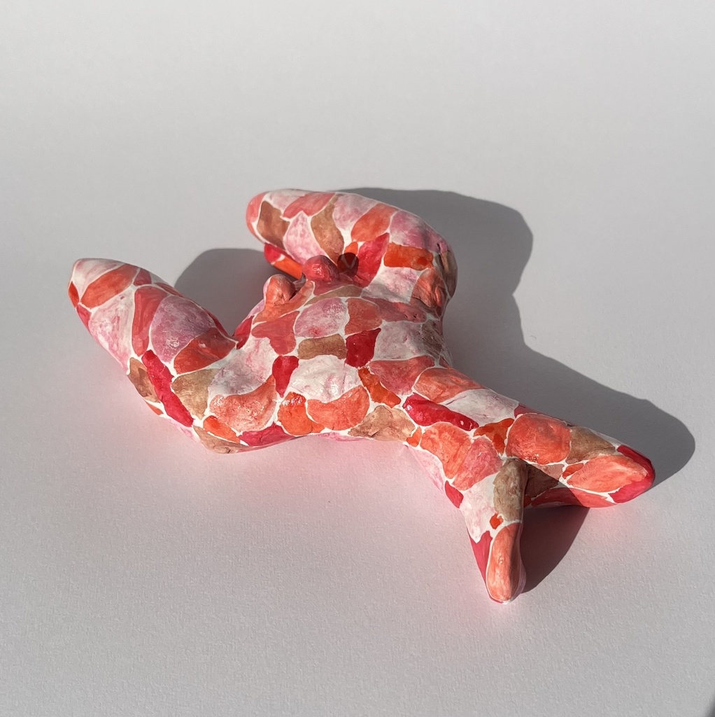 ミナモザリガニ