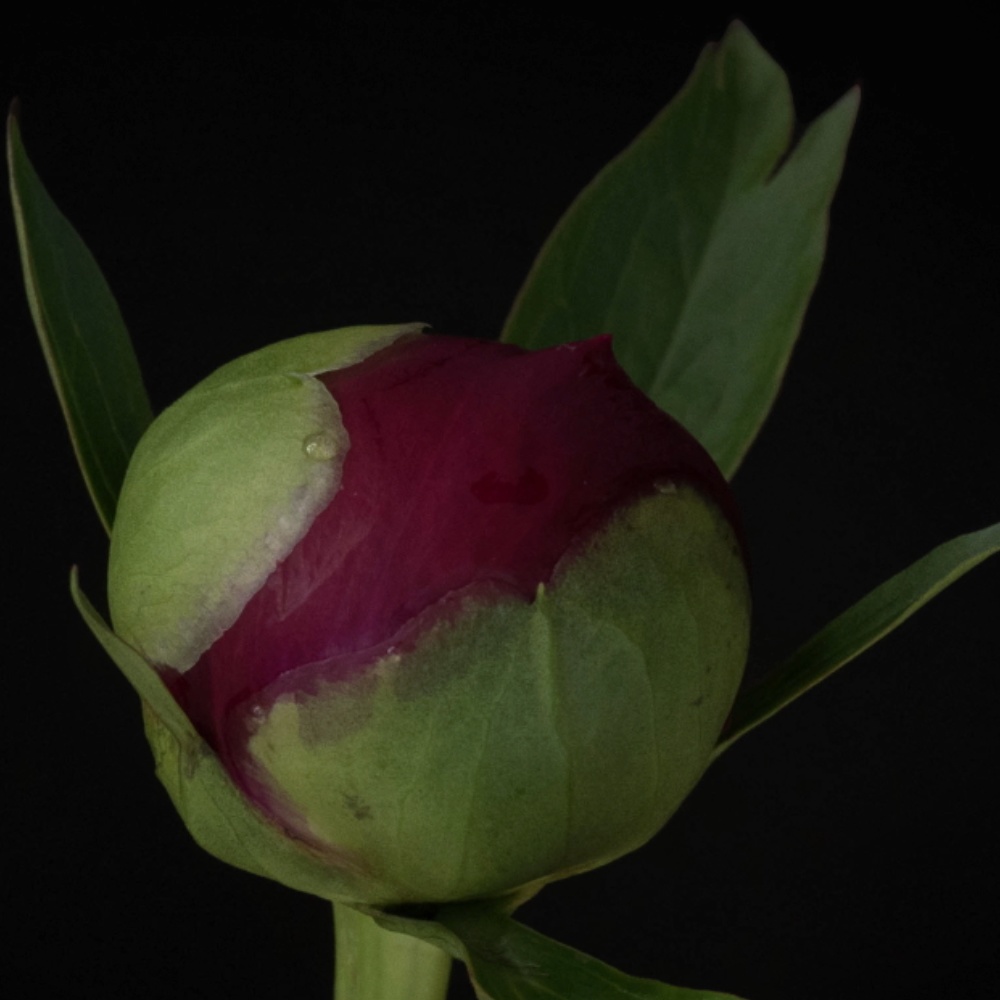 E-ferry_SummerPackage2023