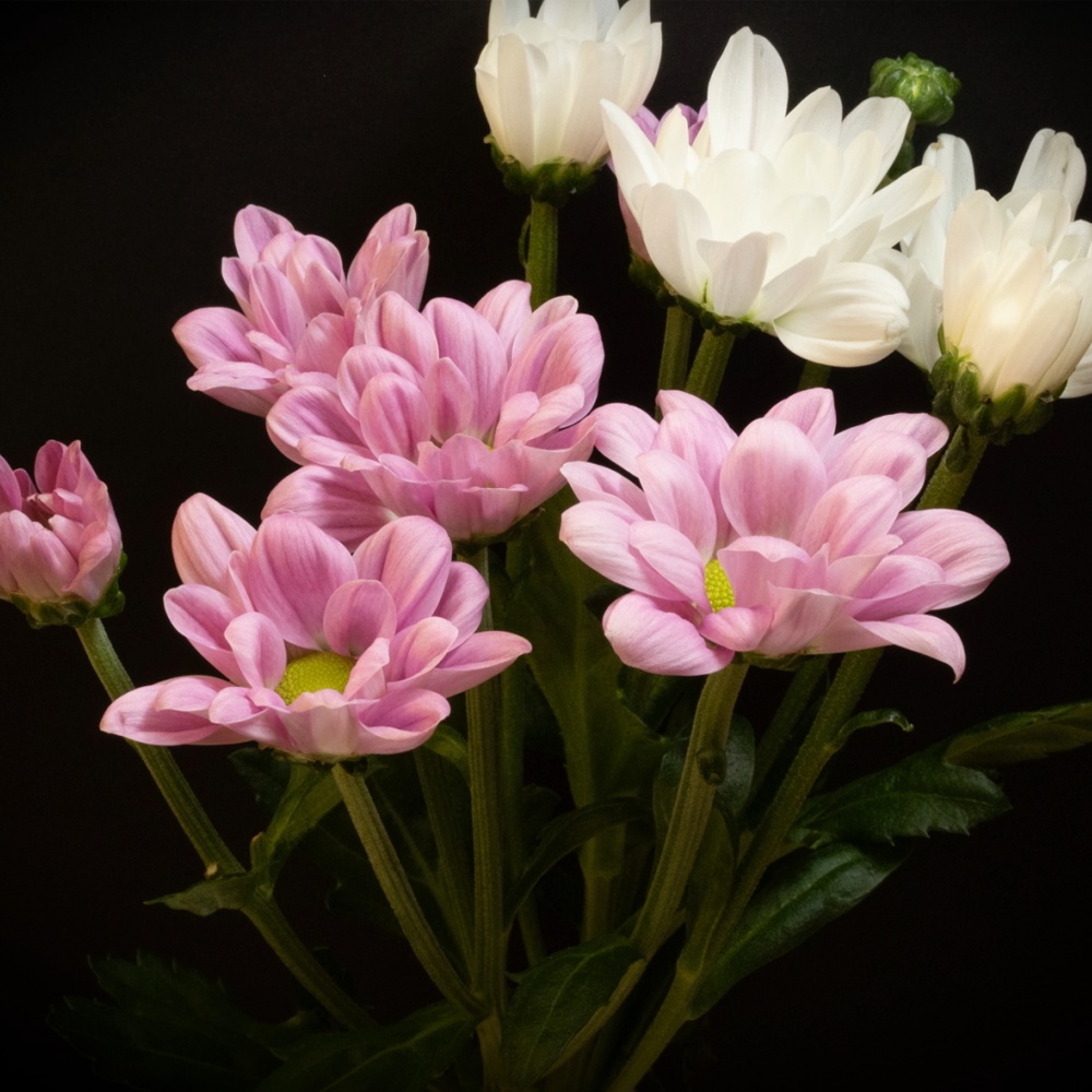 E-ferry_AutumnPackage2023