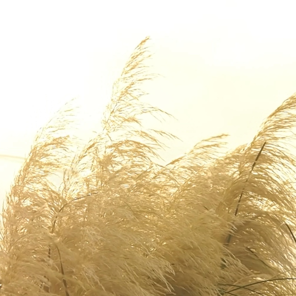 E-ferry_AutumnPackage2023