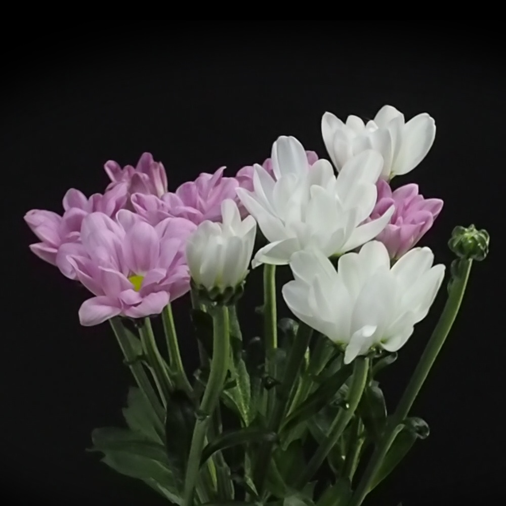 E-ferry_AutumnPackage2023