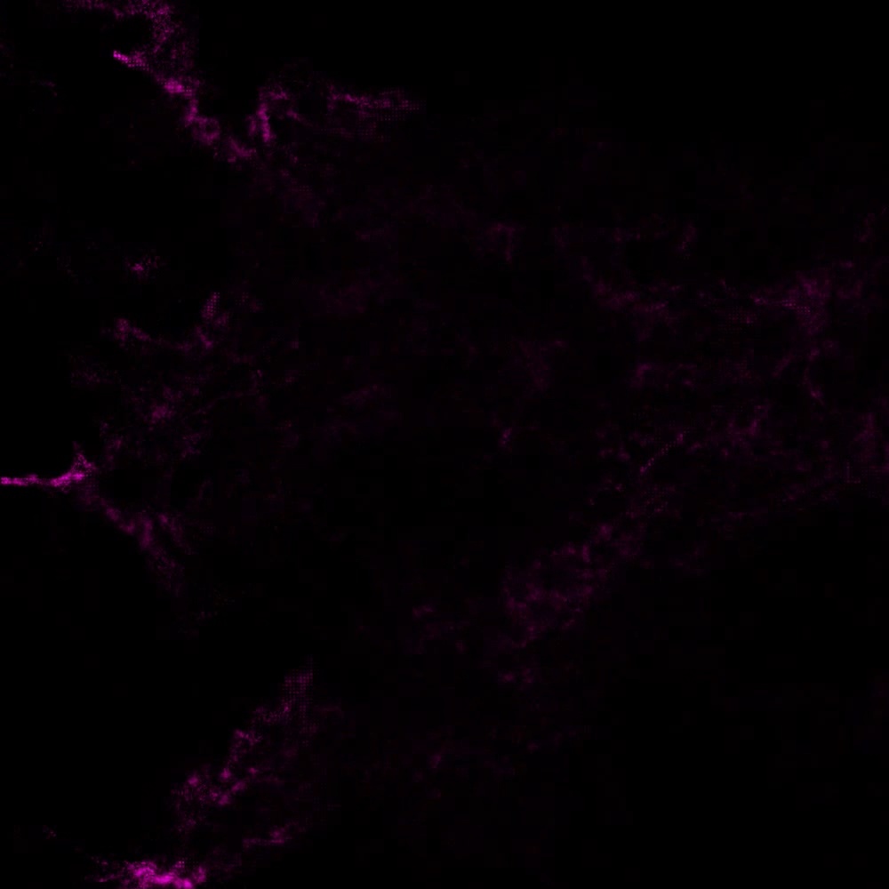 E-ferry_SpringPackage2024