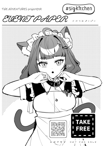 ADVENTURES project.019 無配ペーパー