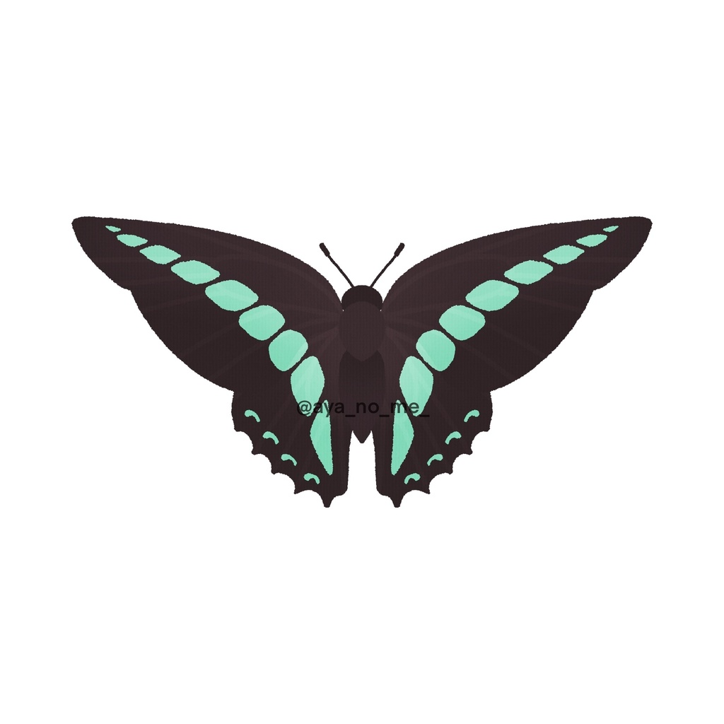 アオスジアゲハ 昆虫モチーフ プラバンキーホルダー 文ノ目店 Booth