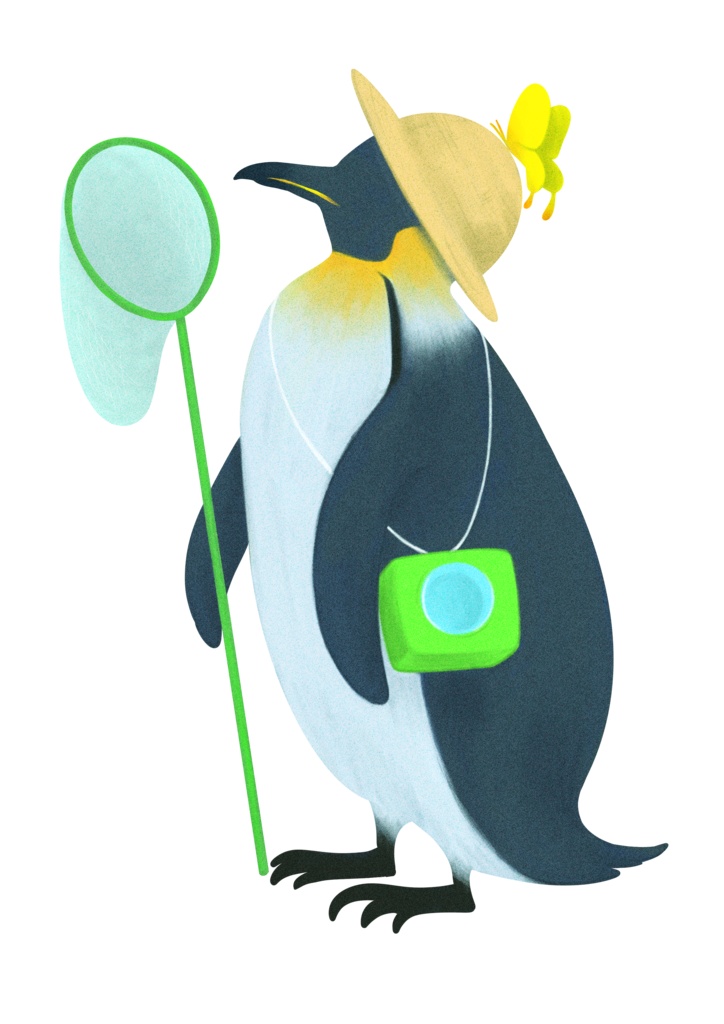 SummerPenguin,