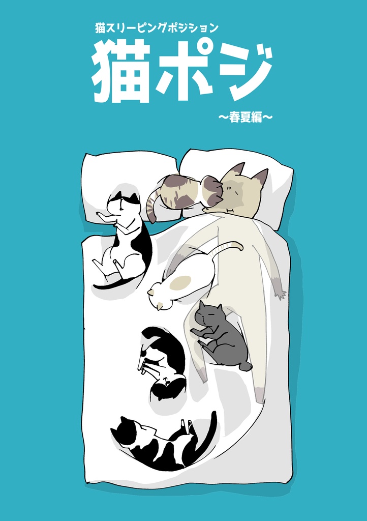 猫ポジ　春夏編