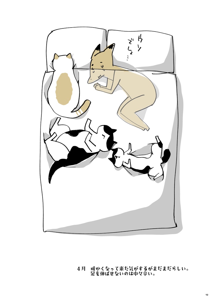 猫ポジ 春夏編