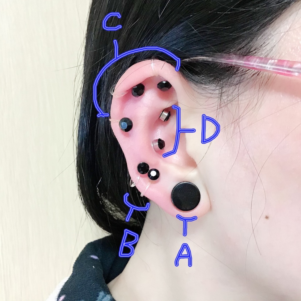 波羅夷空却風 フェイクピアスセット