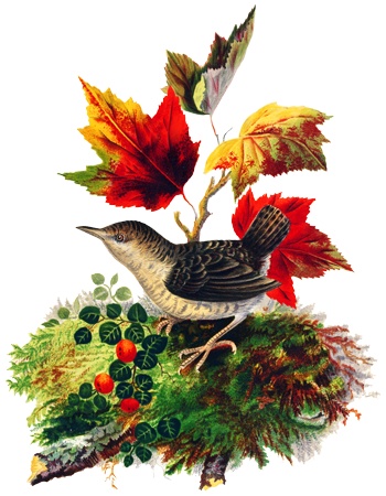 PNG画像：小鳥と紅葉アンティークイラスト