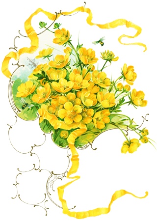 PNG画像：黄色小花とリボン アンティークイラスト