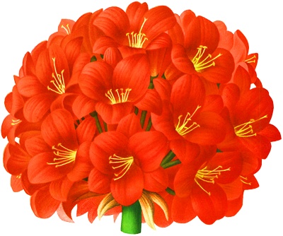 Png画像 赤い花アンティークイラスト アンティーク レトロ イラスト画像素材 Booth