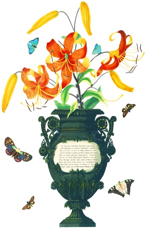 PNG画像：百合と花瓶アンティークイラスト