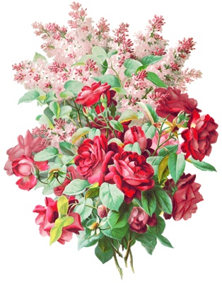 PNG画像：赤い薔薇の花束アンティークイラスト
