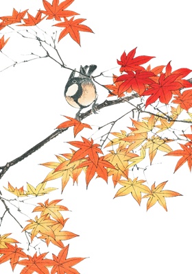 PNG画像：紅いもみじと小鳥 アンティークイラスト