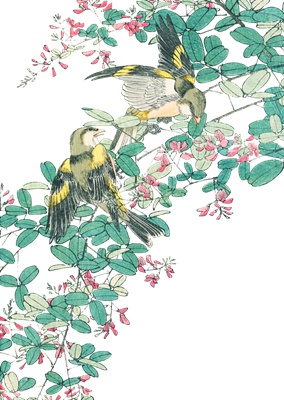 PNG画像：萩の花と小鳥 アンティークイラスト