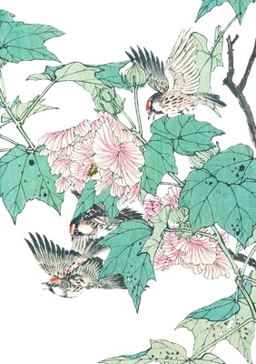 PNG画像：葵の花と小鳥 アンティークイラスト