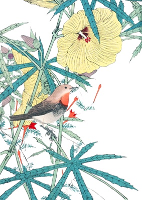 PNG画像：オクラの花と小鳥 アンティークイラスト
