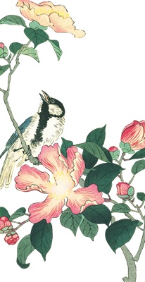 PNG画像：赤い花と小鳥 アンティークイラスト