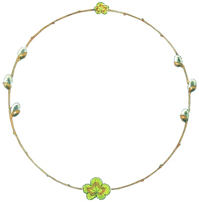 PNG画像|草花のシンプルなフレーム アンティークイラスト素材3点セット