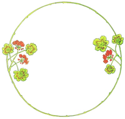 PNG画像|草花のシンプルなフレーム アンティークイラスト素材3点セット