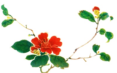 PNG画像｜椿の花アンティークイラスト素材