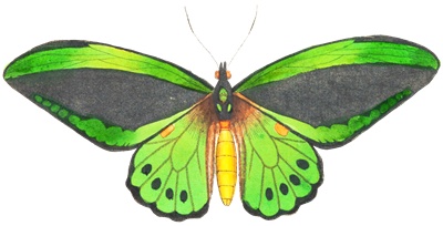 PNG画像｜緑色の蝶々（バタフライ）アンティークイラスト素材