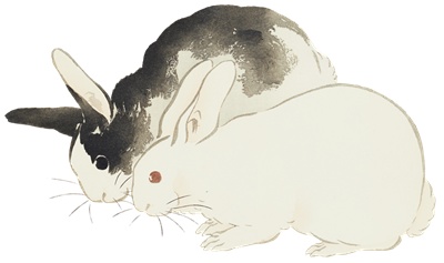 PNG画像｜兎の日本画　イラスト素材