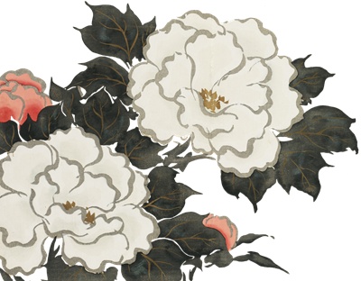 PNG画像｜牡丹の花　日本画アンティークイラスト素材