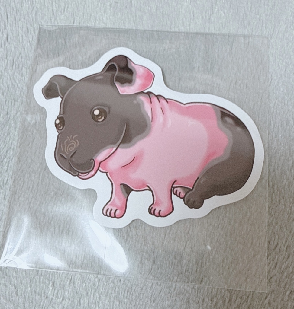 スキニーギニアピッグステッカー（もるすい様デザイン）