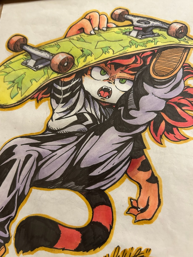 原画 イラスト 『Frontside Air』 B5サイズ 額装