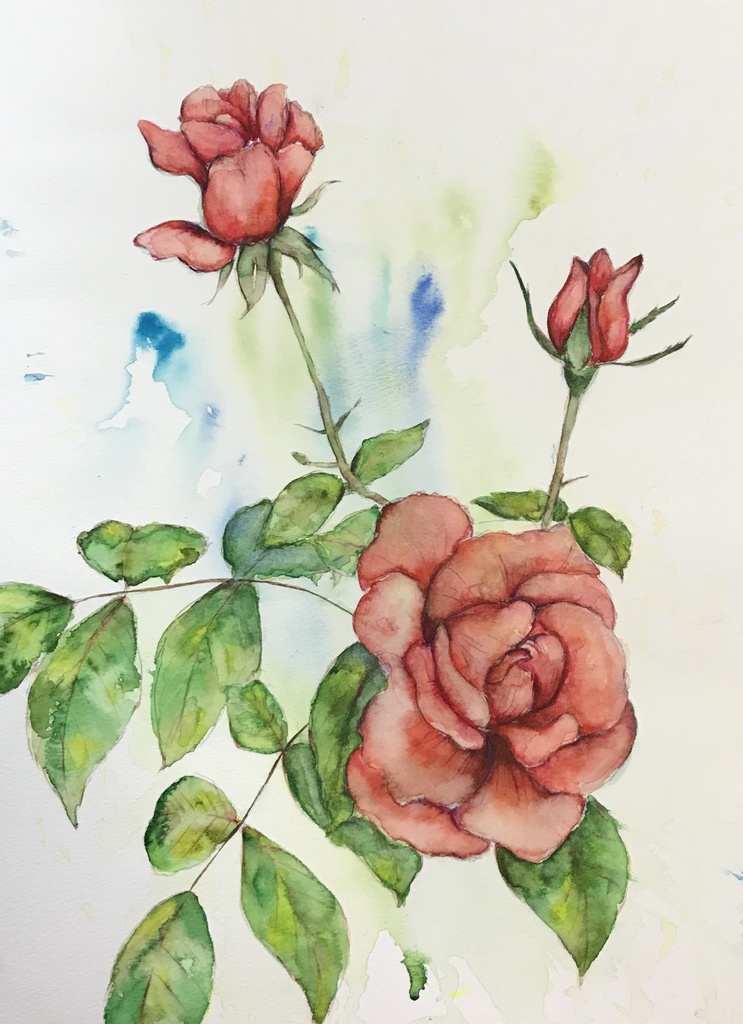 ホルスタインパール F3キャンバス