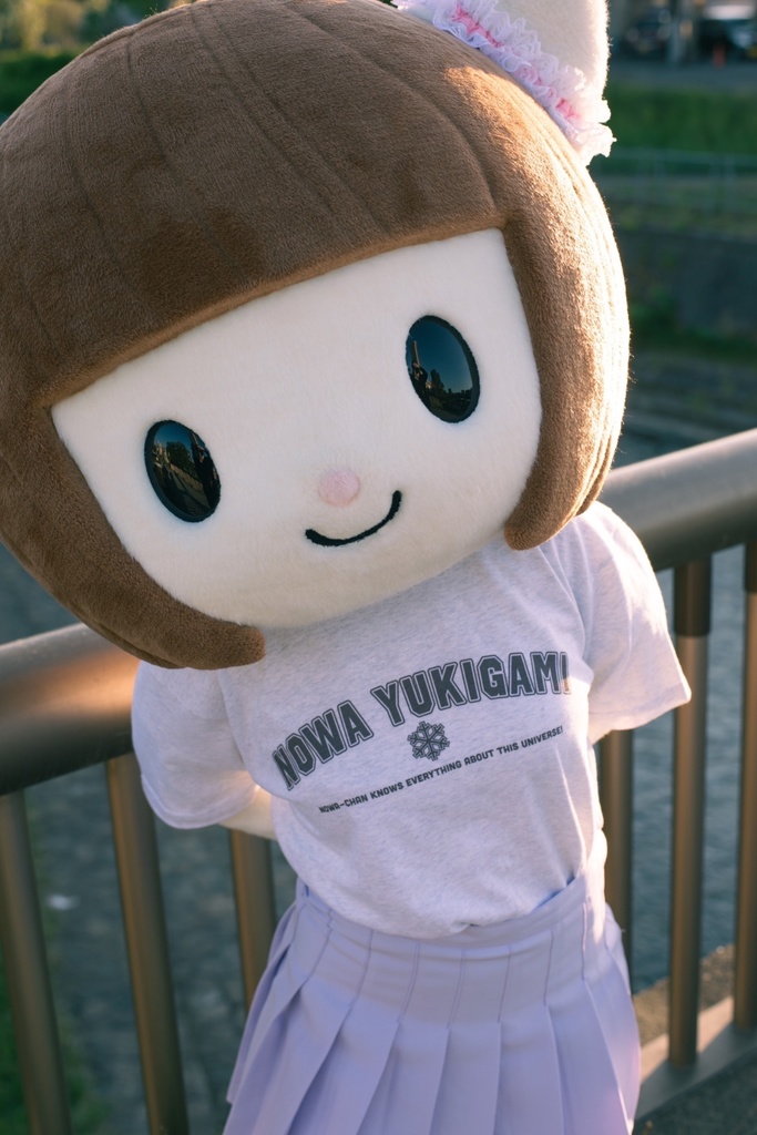 カレッジロゴTシャツ(雪上のわver.)