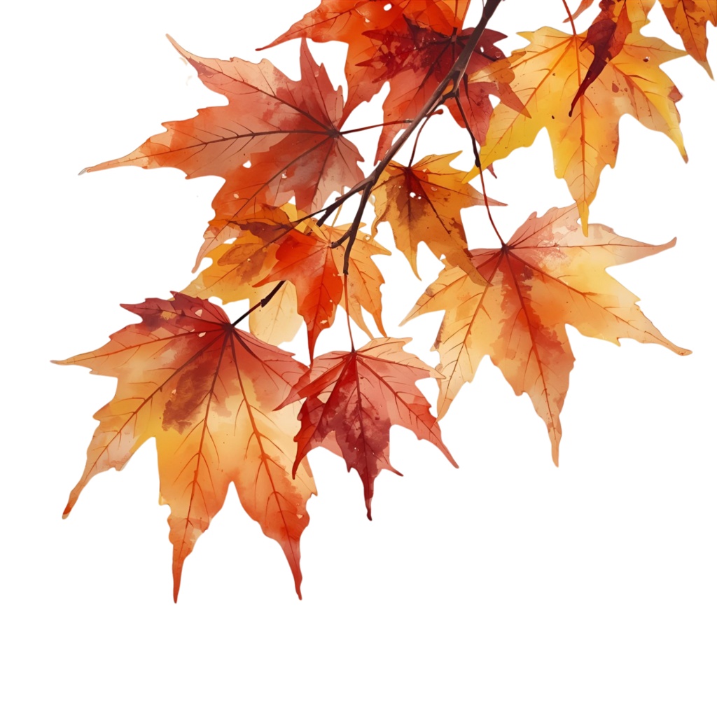 秋の水彩クリップアートセット|紅葉・どんぐり・かぼちゃ・リスetc.