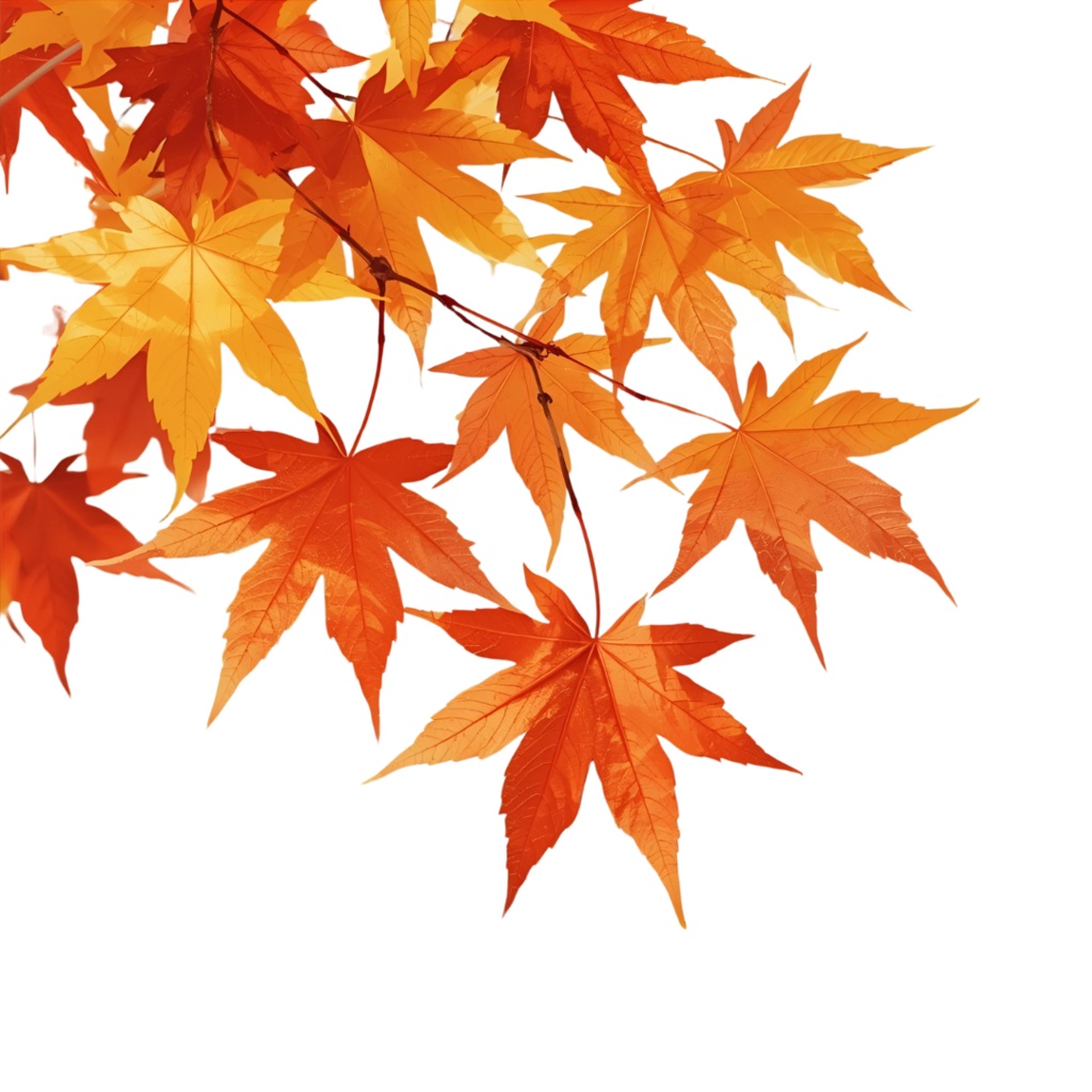 秋の水彩クリップアートセット|紅葉・どんぐり・かぼちゃ・リスetc.