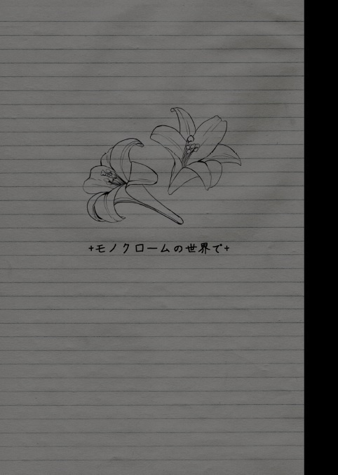 モノクロームの世界で
