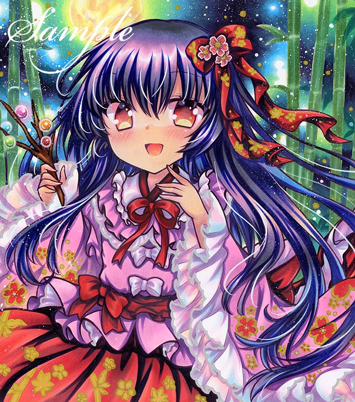 同人手描きイラスト★東方/ 蓬莱山輝夜★大色紙