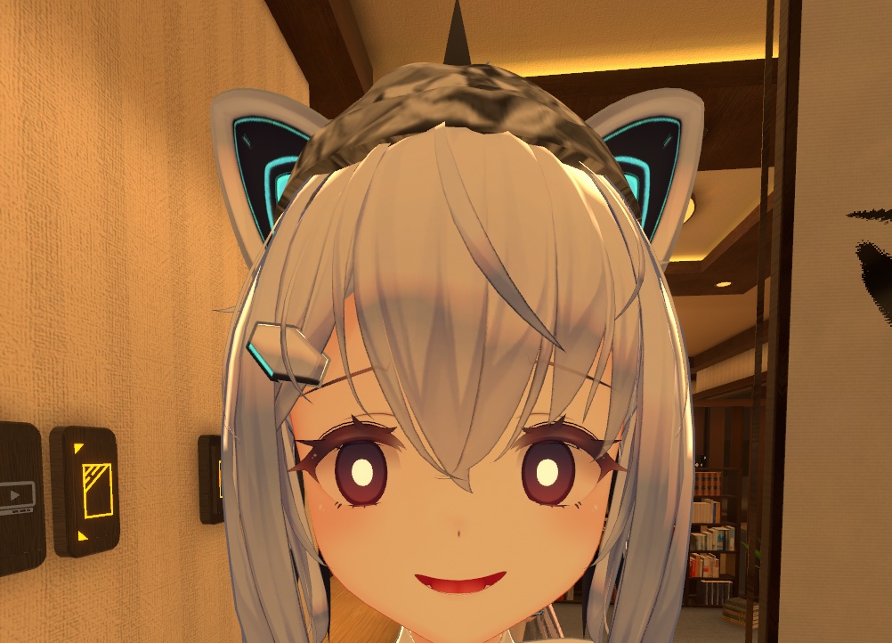 妨害電波から守護ってくれそうな帽子