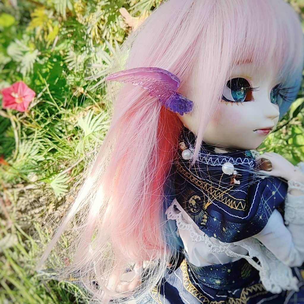 ドール用 大天使の羽根 グラデーション 全8種類 787〜794